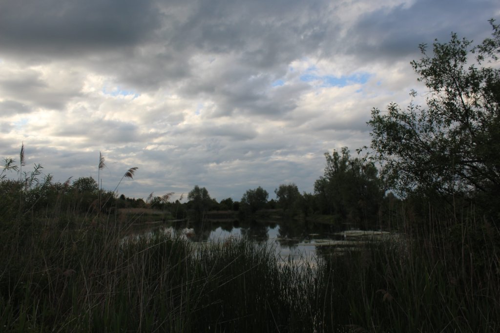 Tczew