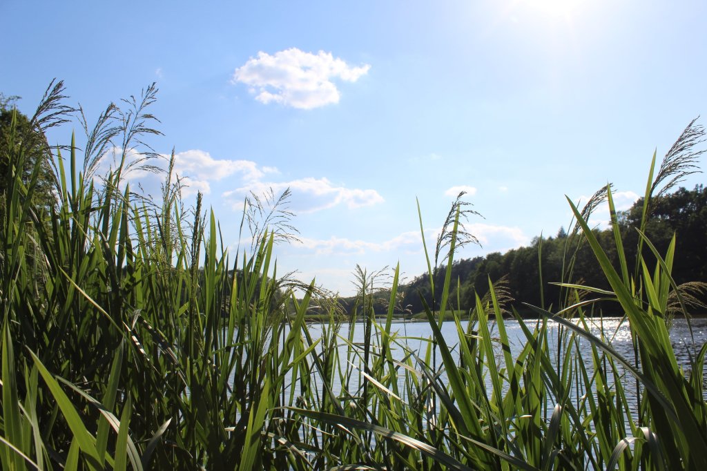 Mynki - jezioro