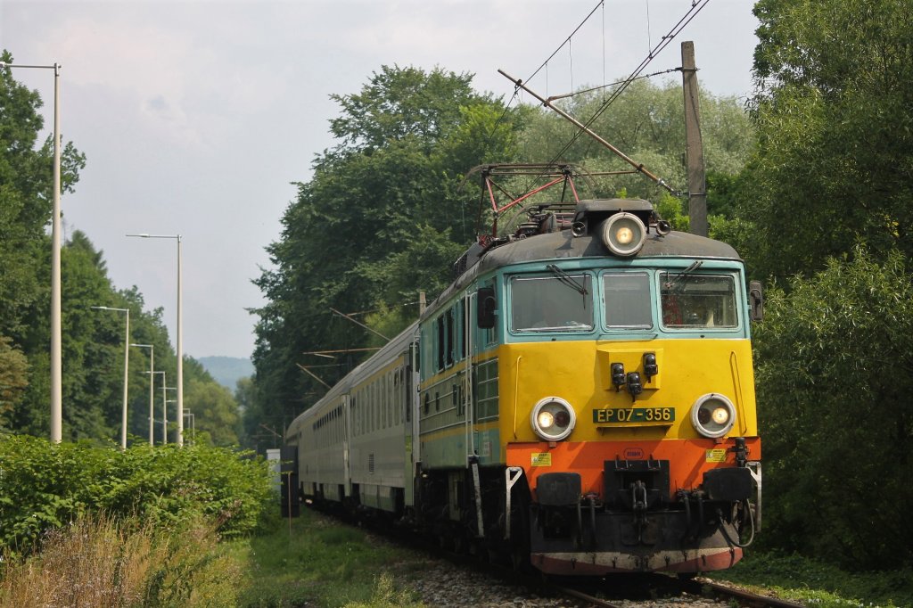 EP07-356 IC Halny