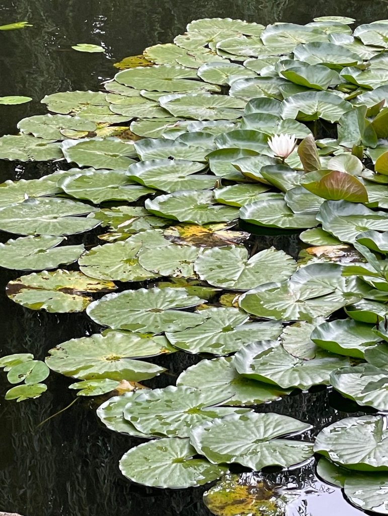 770.