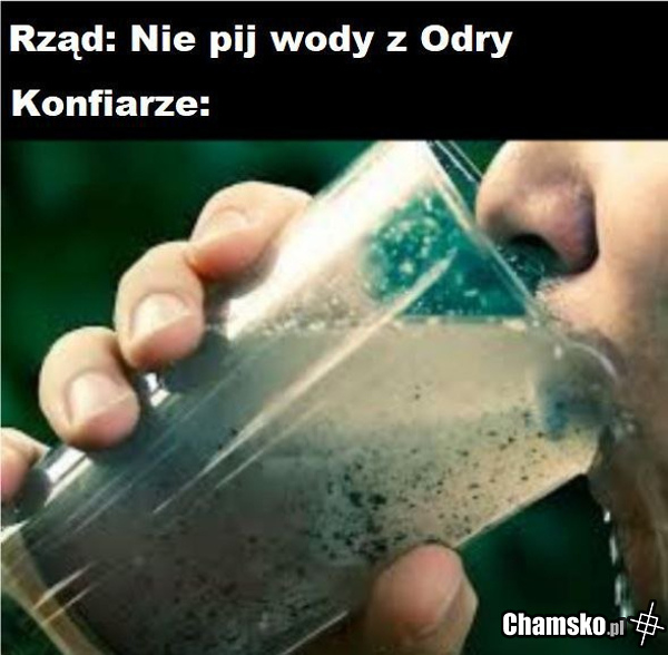 Konfiarze na przekr