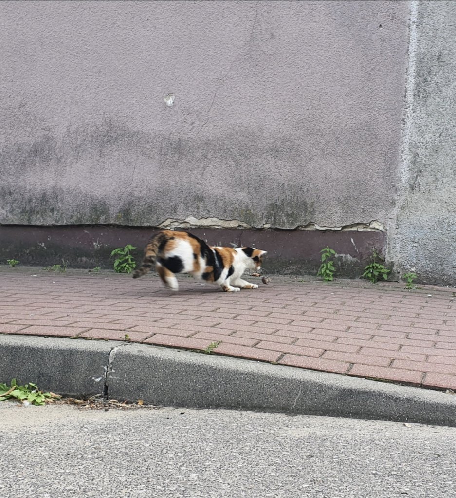 275