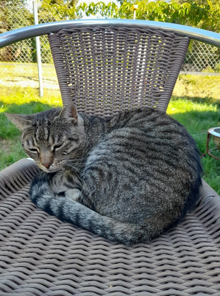 4. Moje kocisko