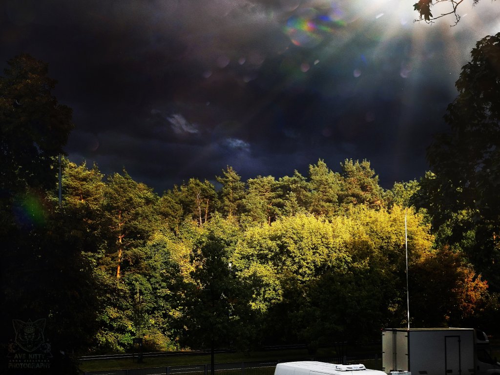 NIGHT AND DAY IN ONE