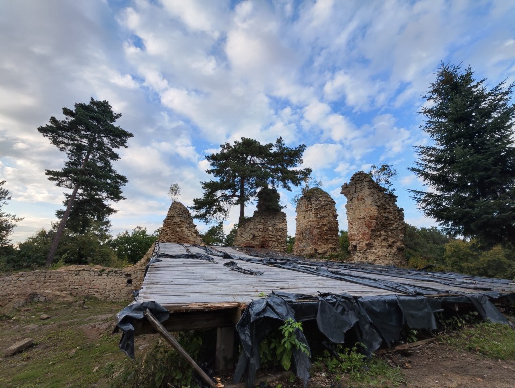 Zamek Zawiszy Czarnego 