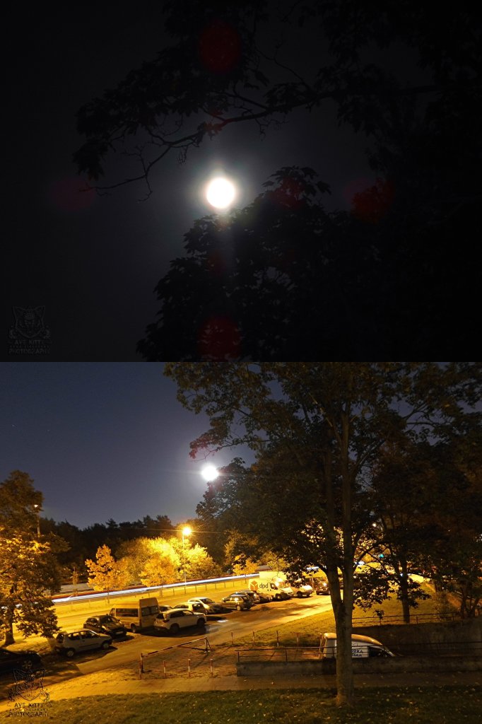 OCTOBER'S FULL MOON