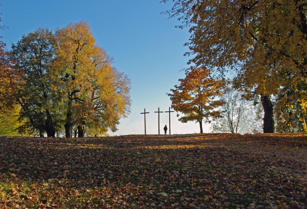 W jesiennej scenerii