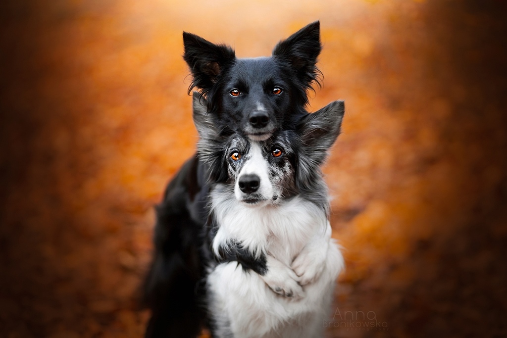 Autumn hug