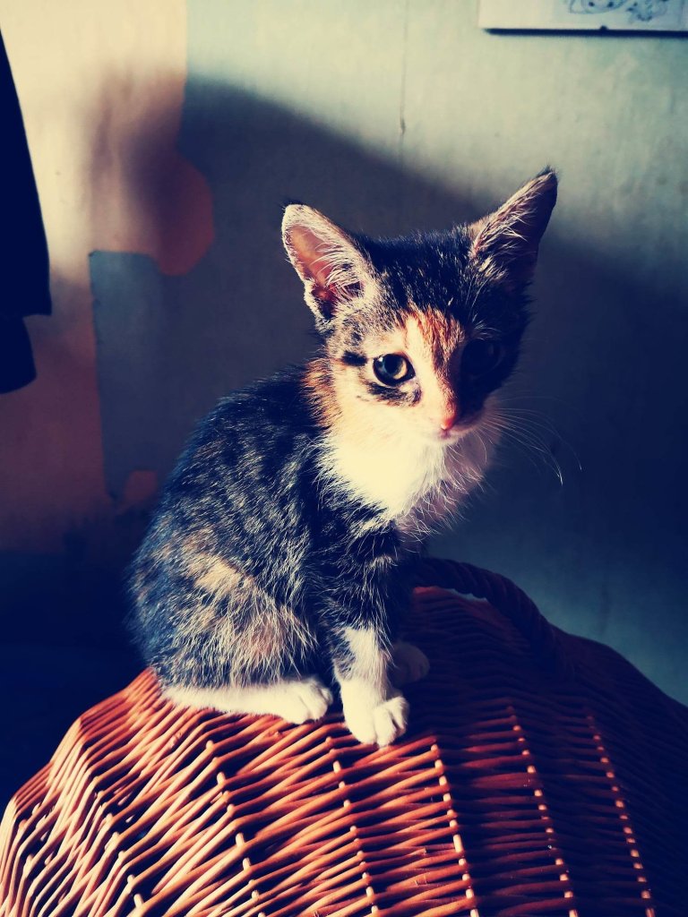 LiLi