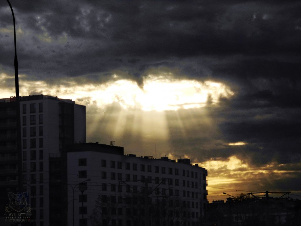 SUNRAYS ON THE SKY