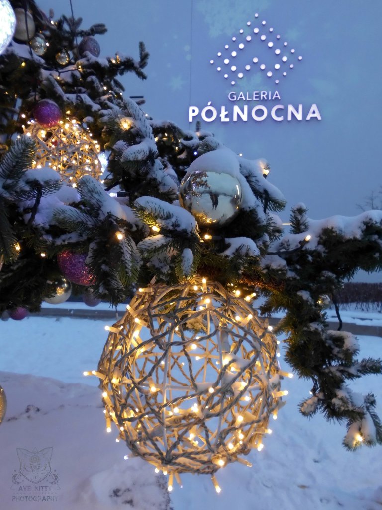'WITECZNA KRAINA' w Pnocnej