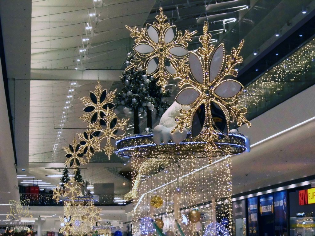 'WITECZNA KRAINA' w Pnocnej