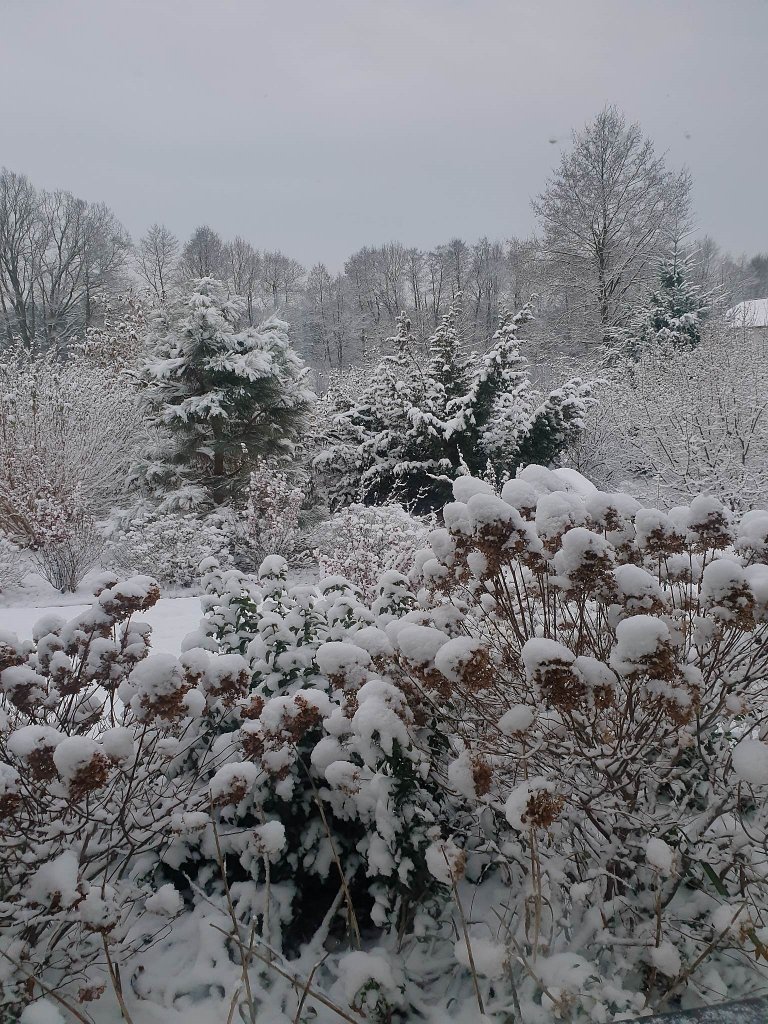 Szkoda ,e odwil nadesza!