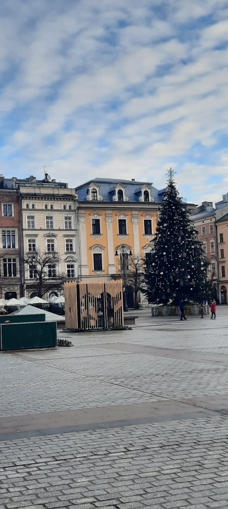 Moje miasto 
