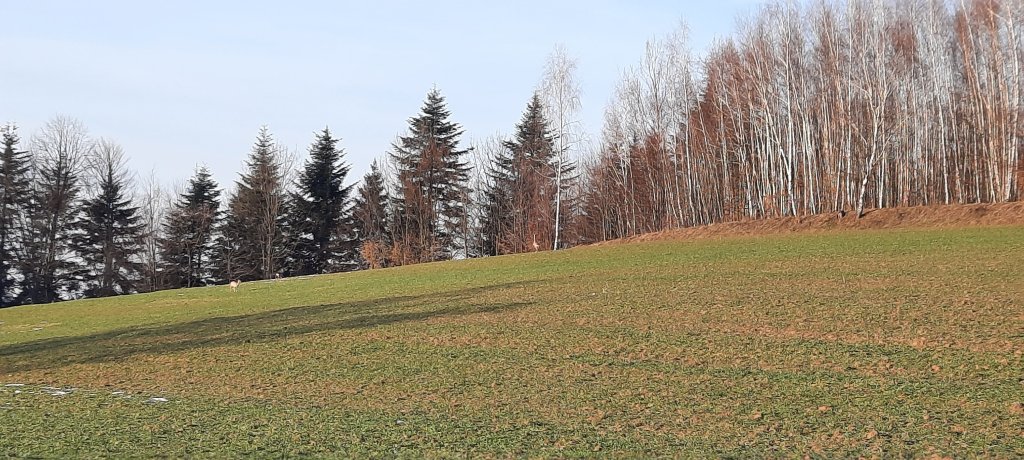Taki widok
