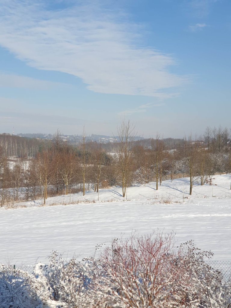 Tereny nad Drwc w niegu...