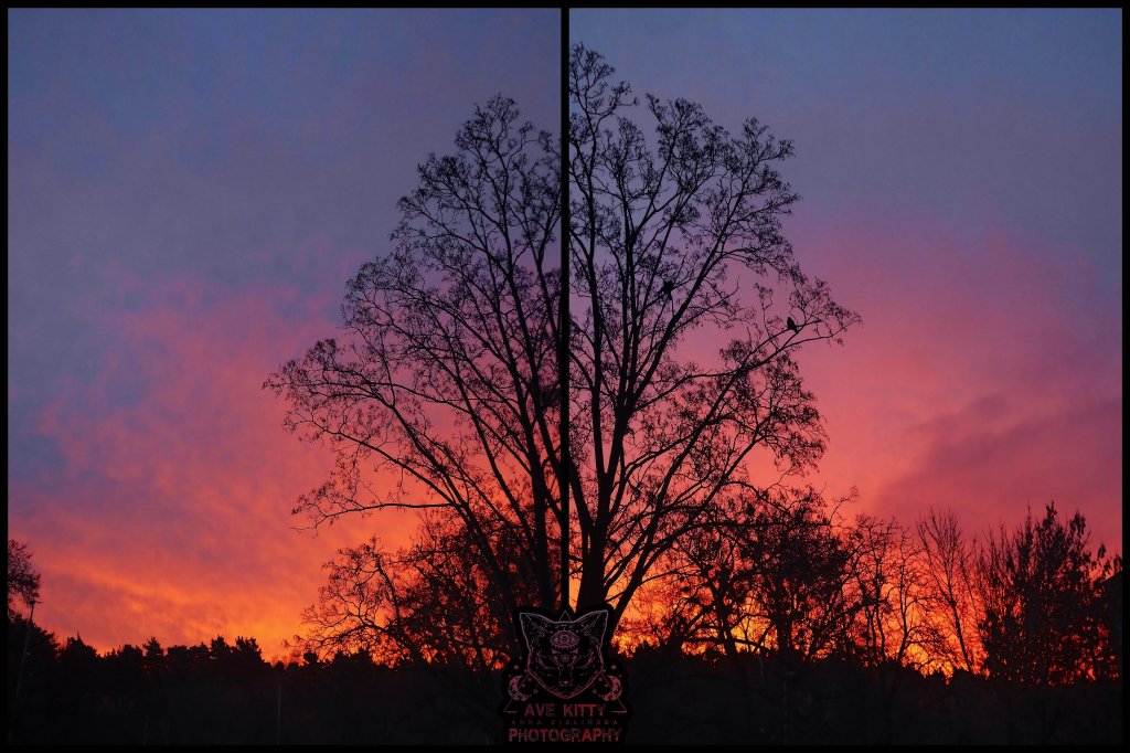 SKY AT SUNRISE