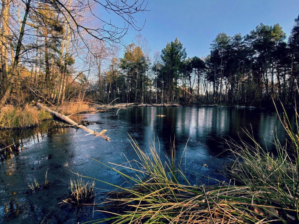 Zbaw nas ode zego