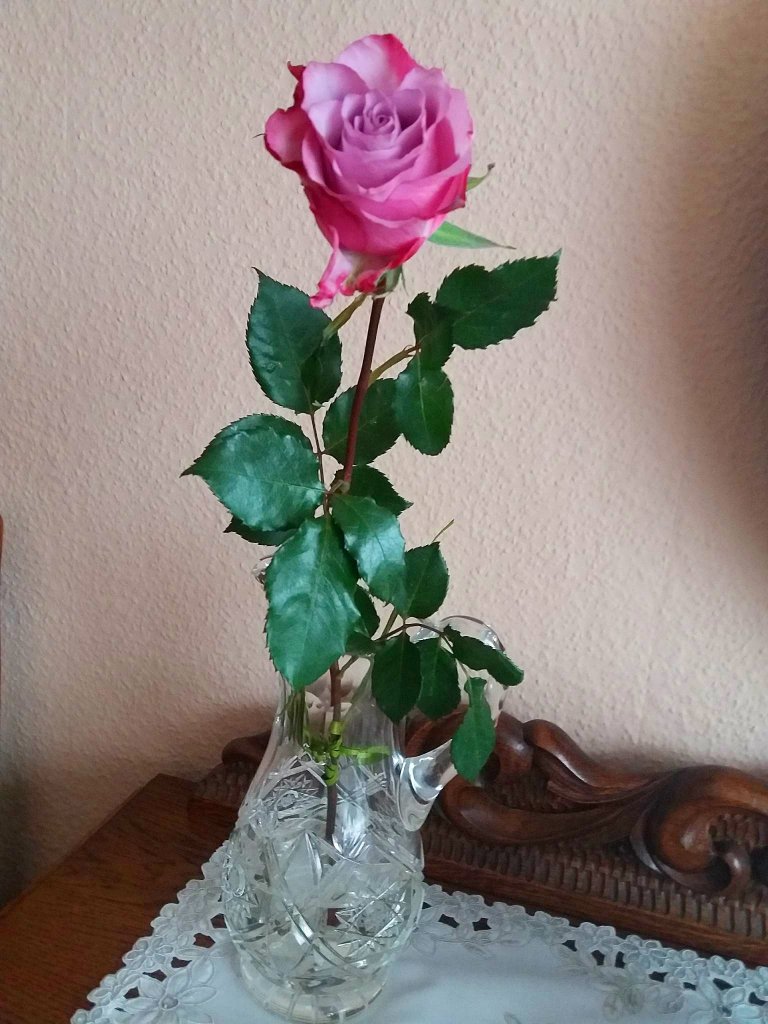 Mia niespodzianka!