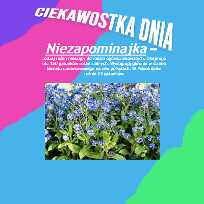 Kwiatki i rosliny