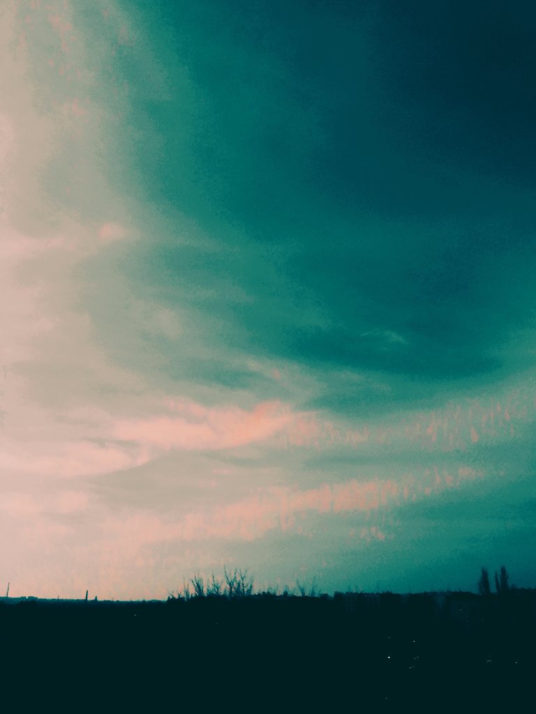 W cieniu