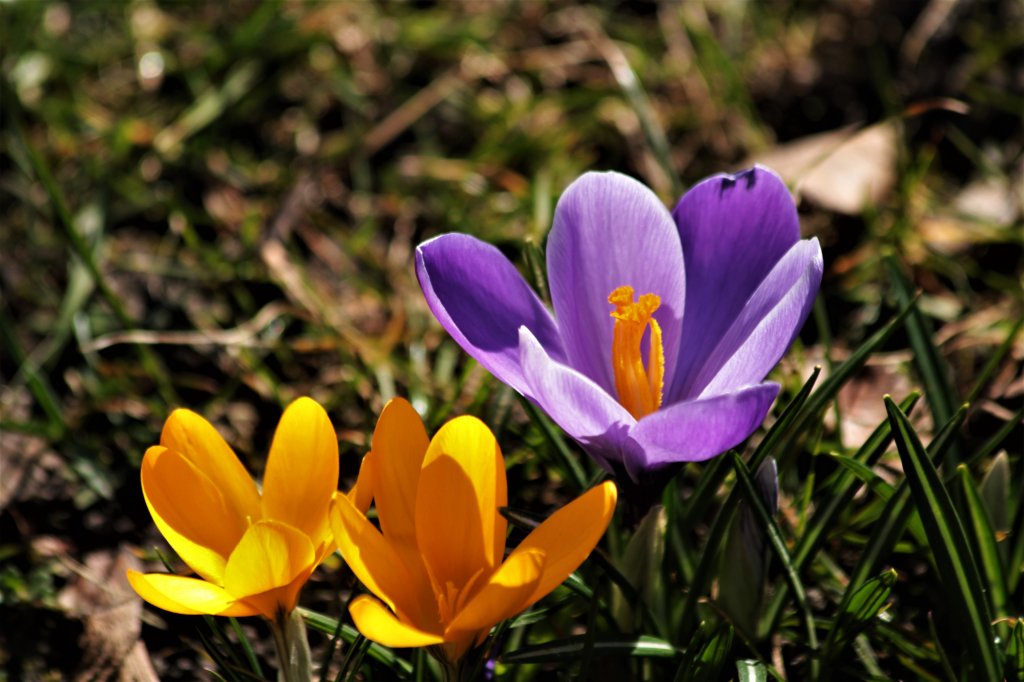21.03.23