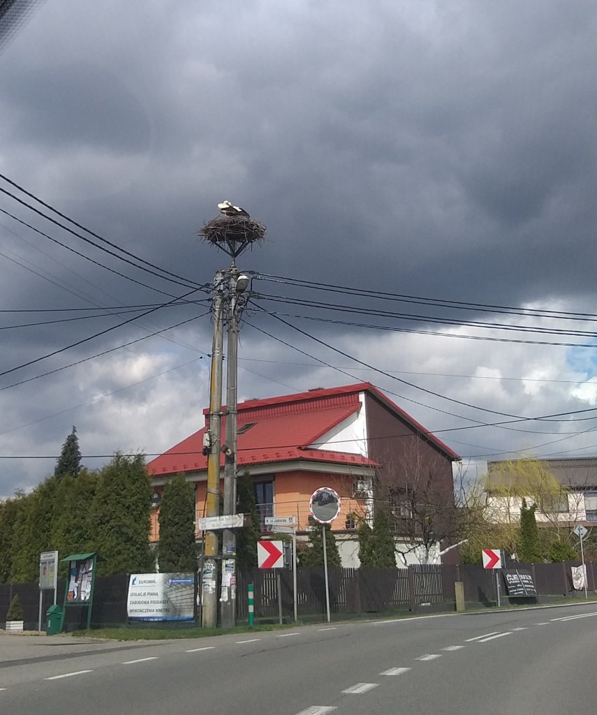 Wiosna.