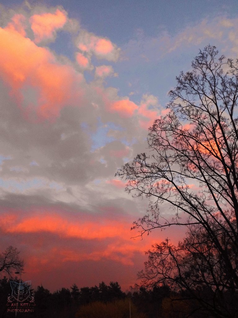 SUNSET CLOUDS