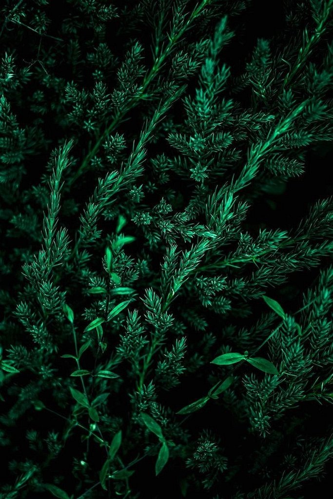 Green.