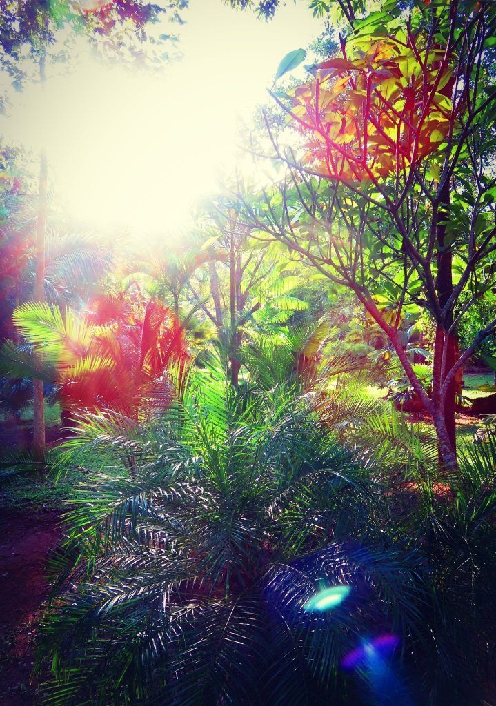 Magic place. Insp.