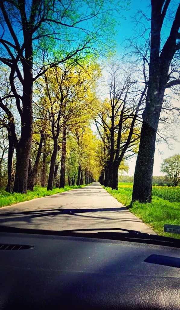 Sunny funny road. Insp.