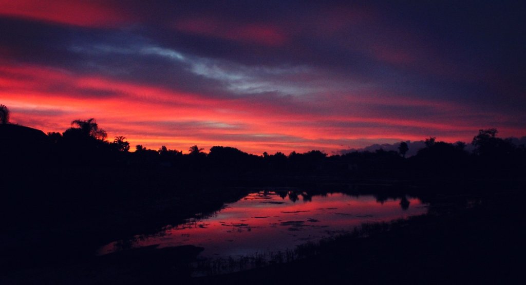 Sunset colorful. Insp.