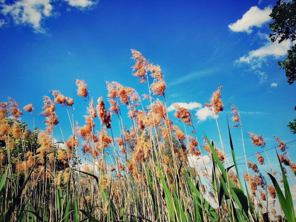 Summer is in the air.