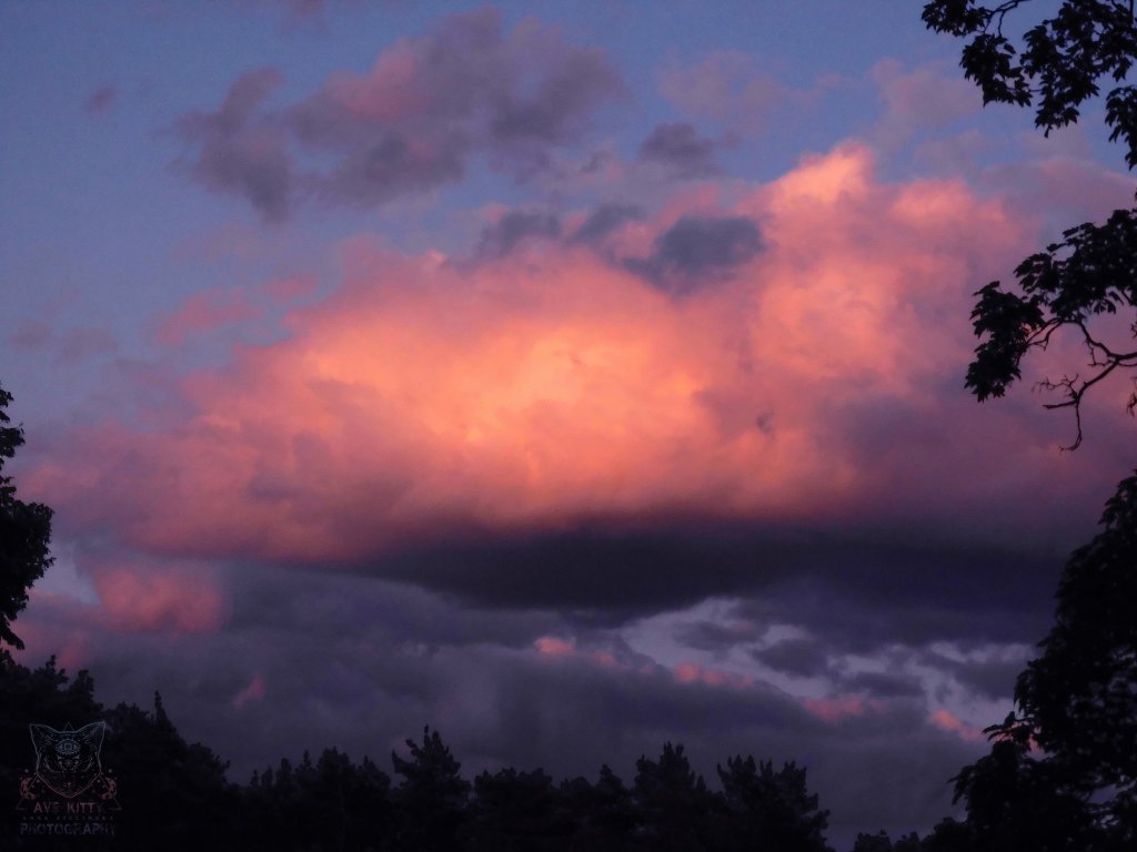 SKY LIKE FIRE