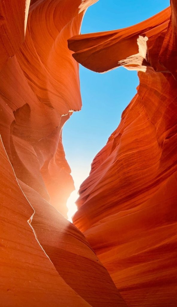Nature is amazing. Insp.