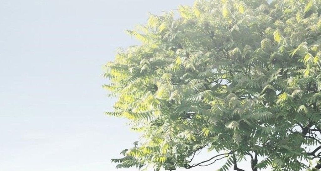 blogergoods1