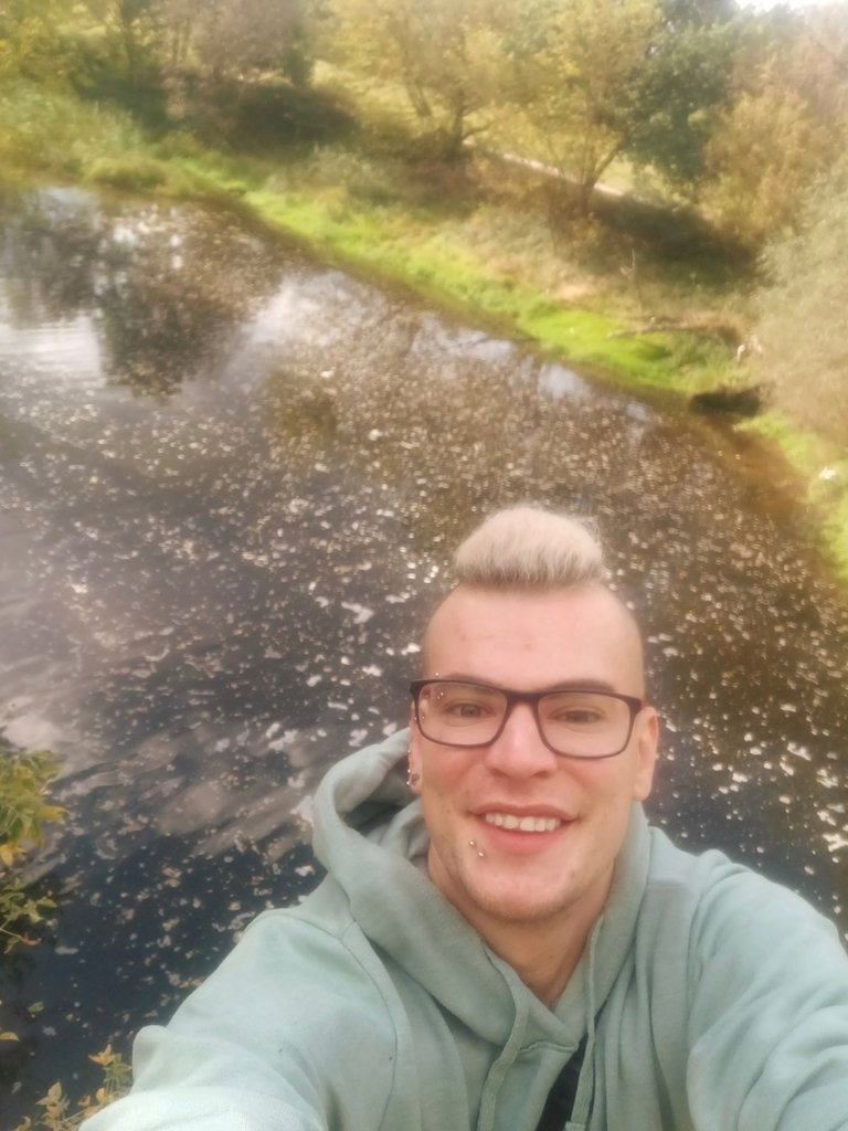 1152. Na kopytka pegaza