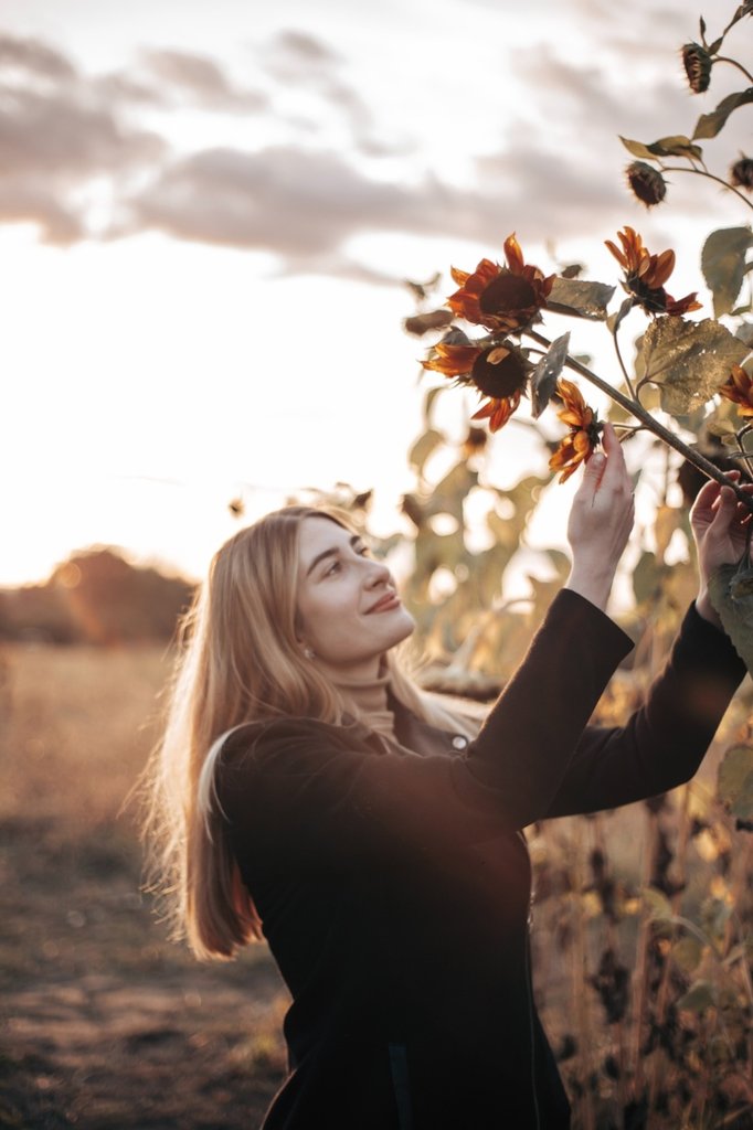 Sunflower field.