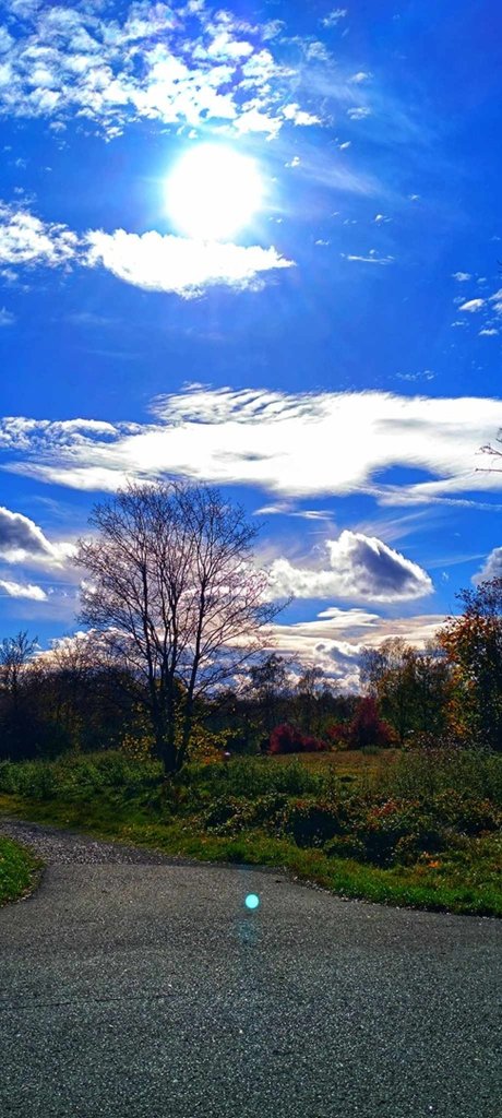 Blue sky! 