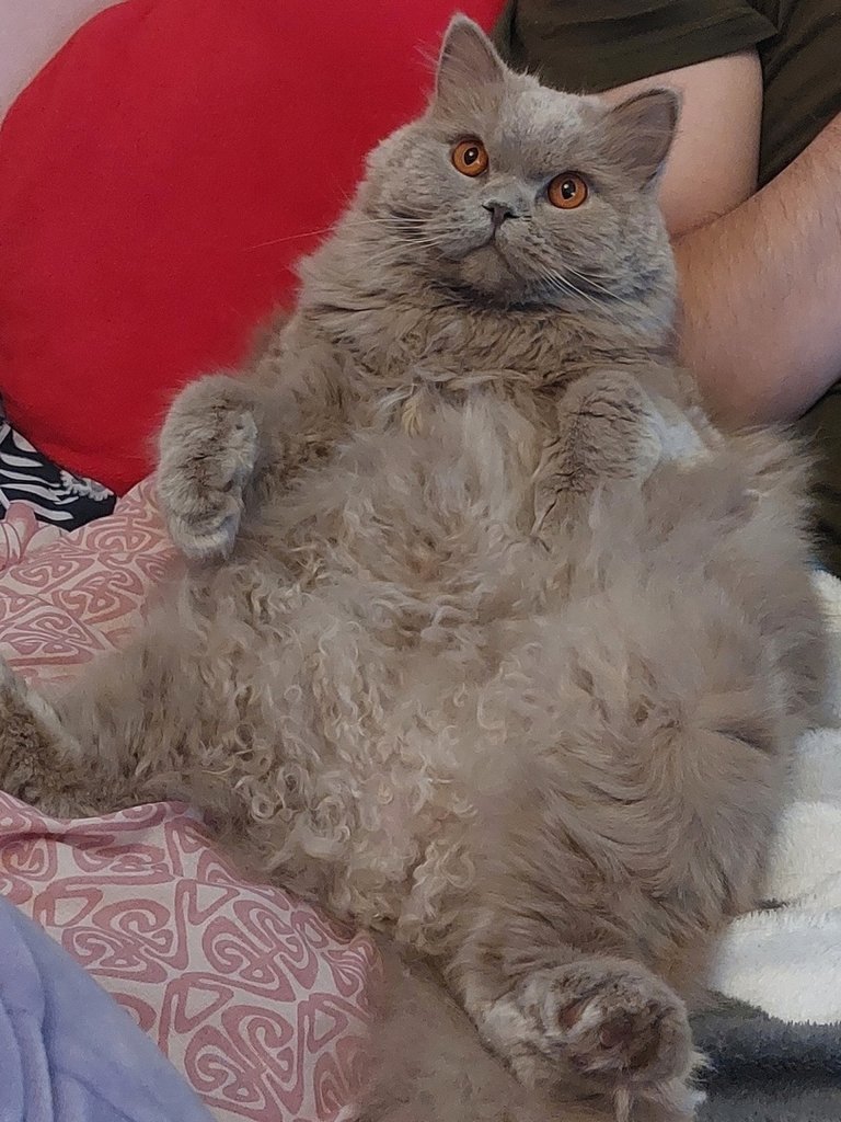 :*