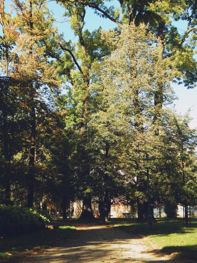 Park