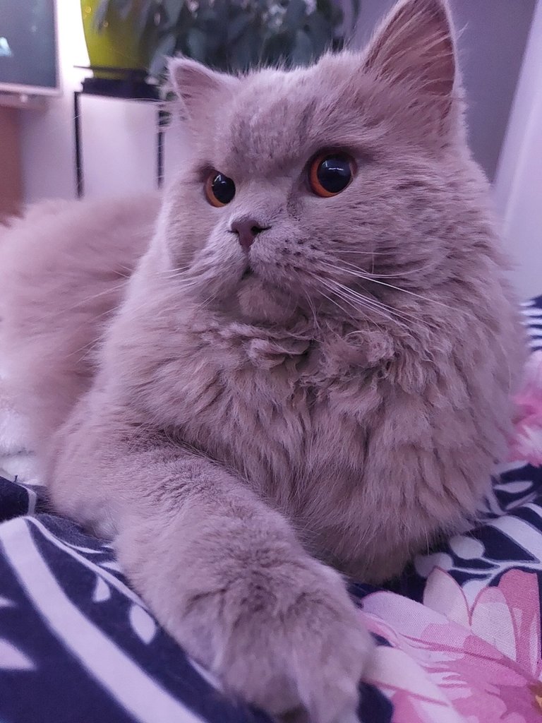 :*