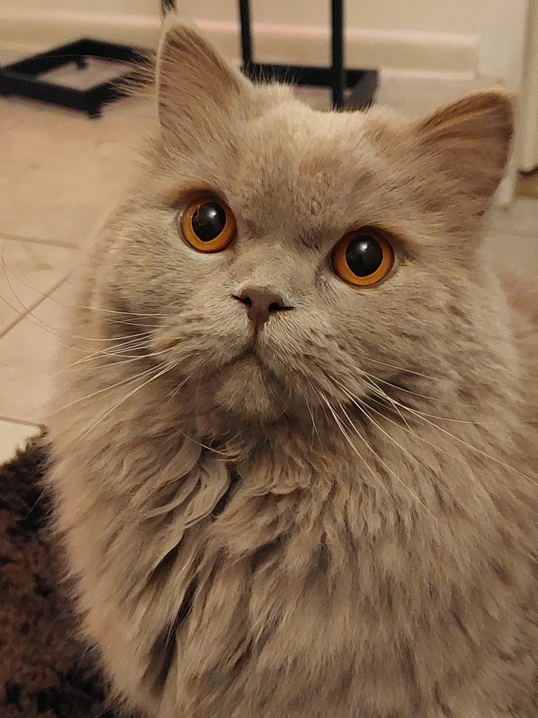 :*