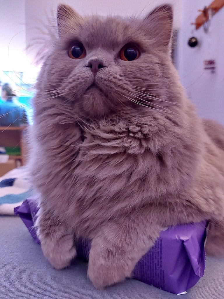 :*