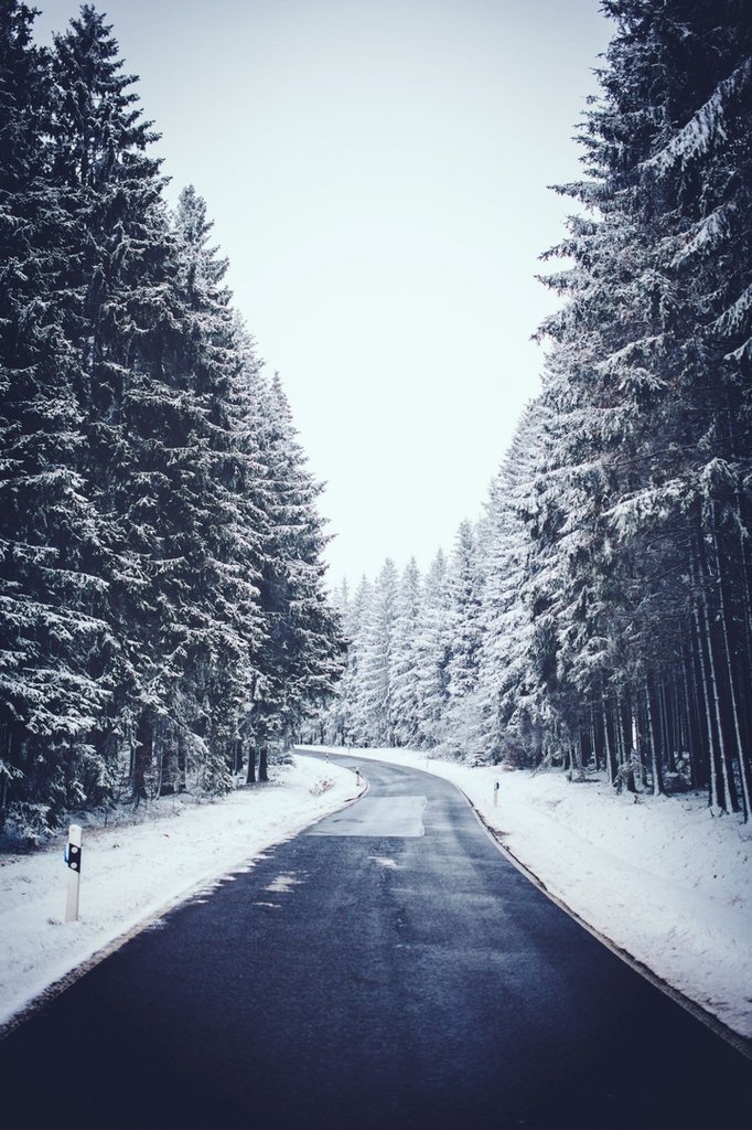 Winter. Insp.