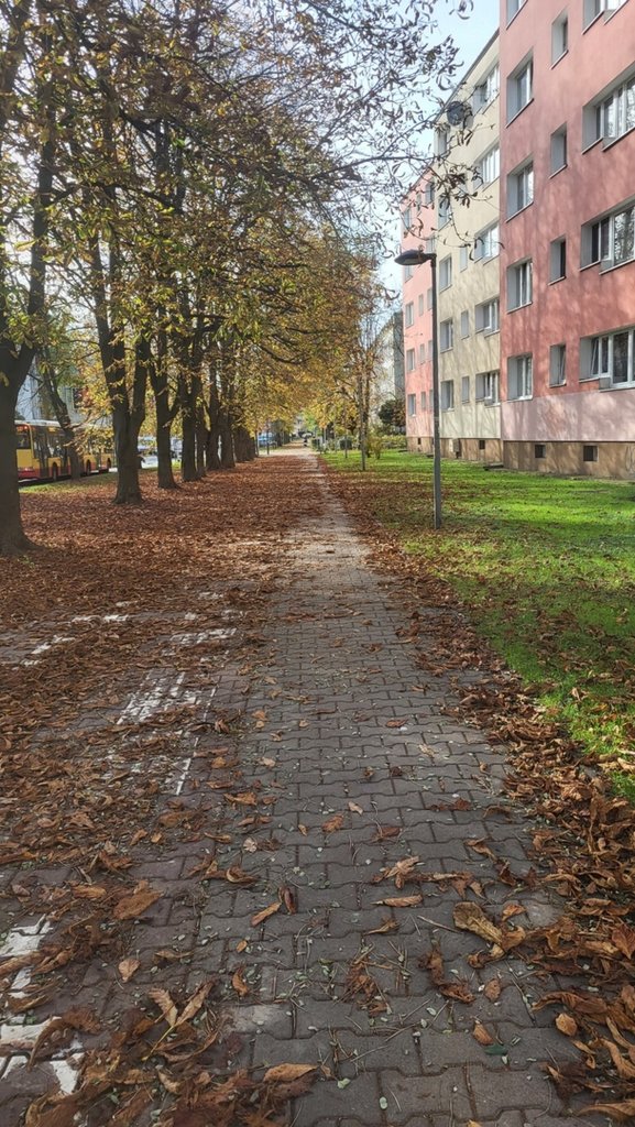 Dzisiaj 