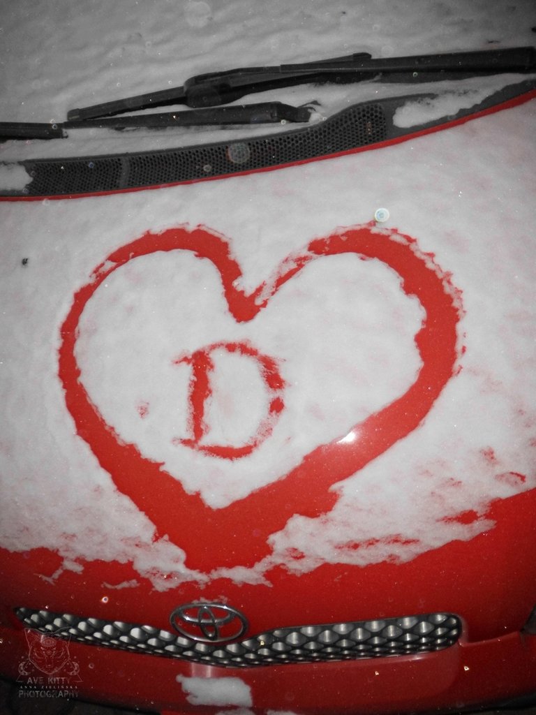 LOVE IS LOVE