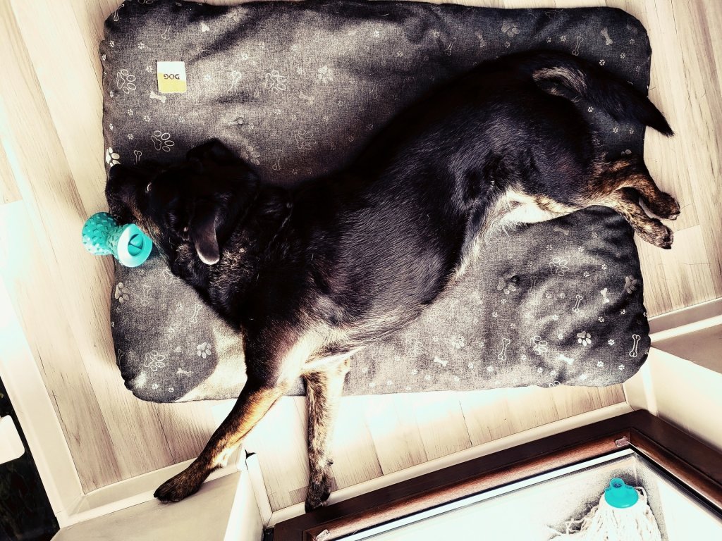Kulki