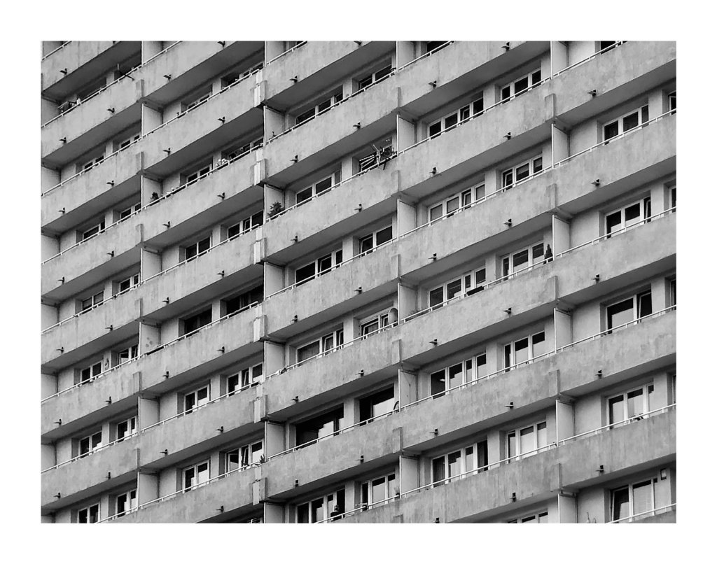L'Unit d'Habitation