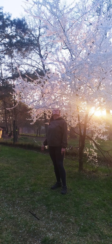 u Krla